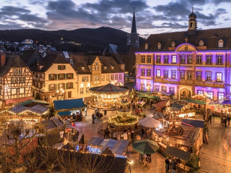Pfaelzer Herzel Neustadt an der Weinstraße المظهر الخارجي الصورة